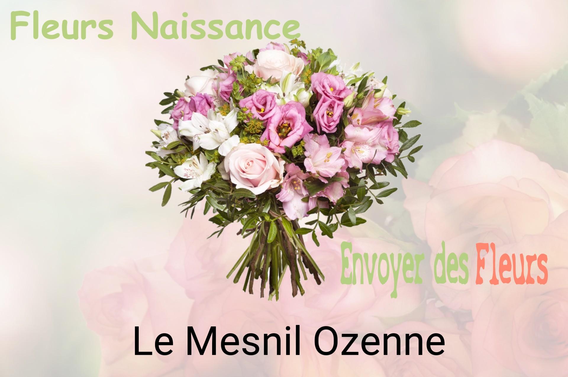 Bouquet de fleurs de naissance livré à Le Mesnil-Ozenne